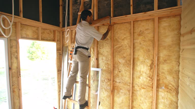 Best Insulation for New Construction  in Mattawan, MI